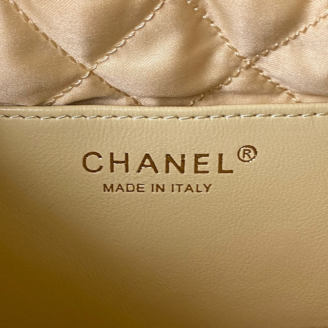 Chanle 22 Backpack Mini