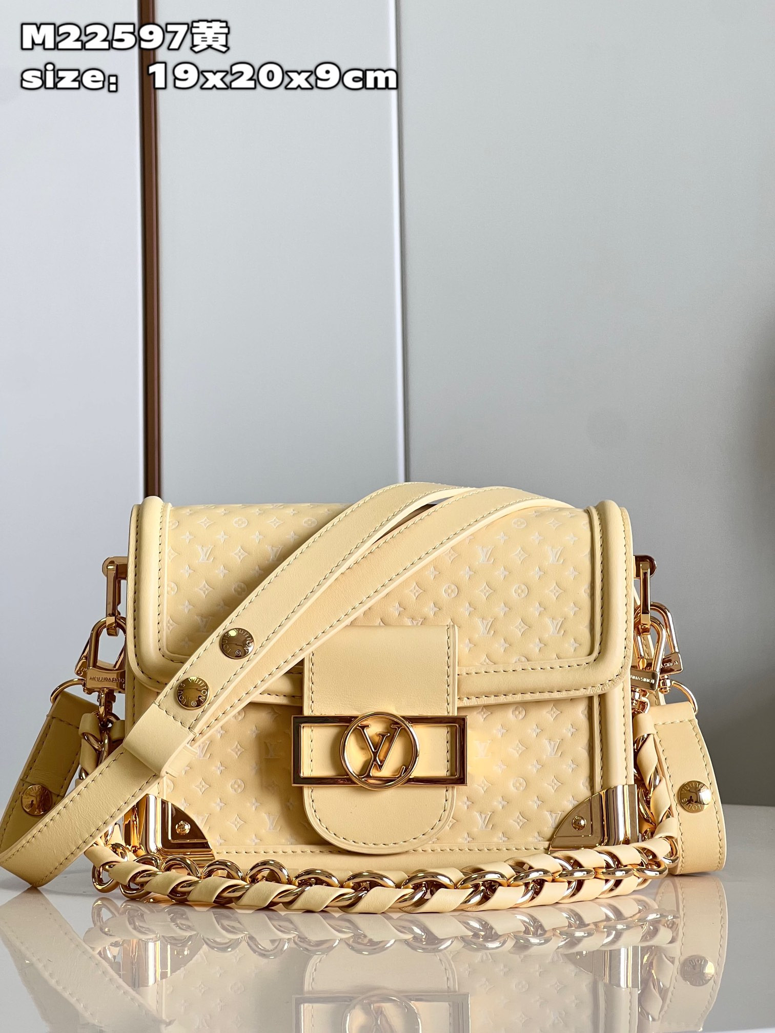 Louis Vuitton Dauphine Bag