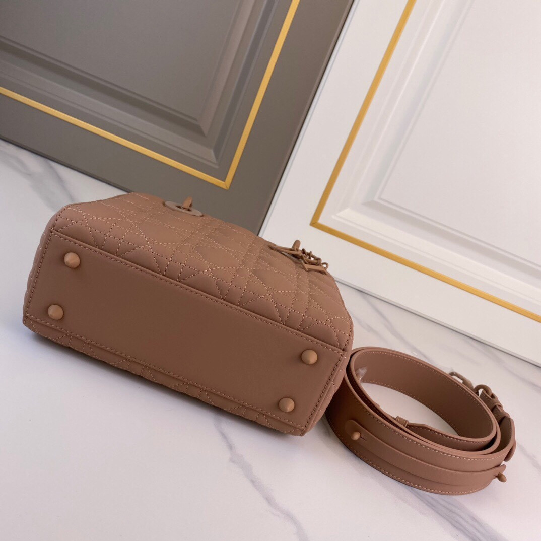 Medium Lady Dior Bag