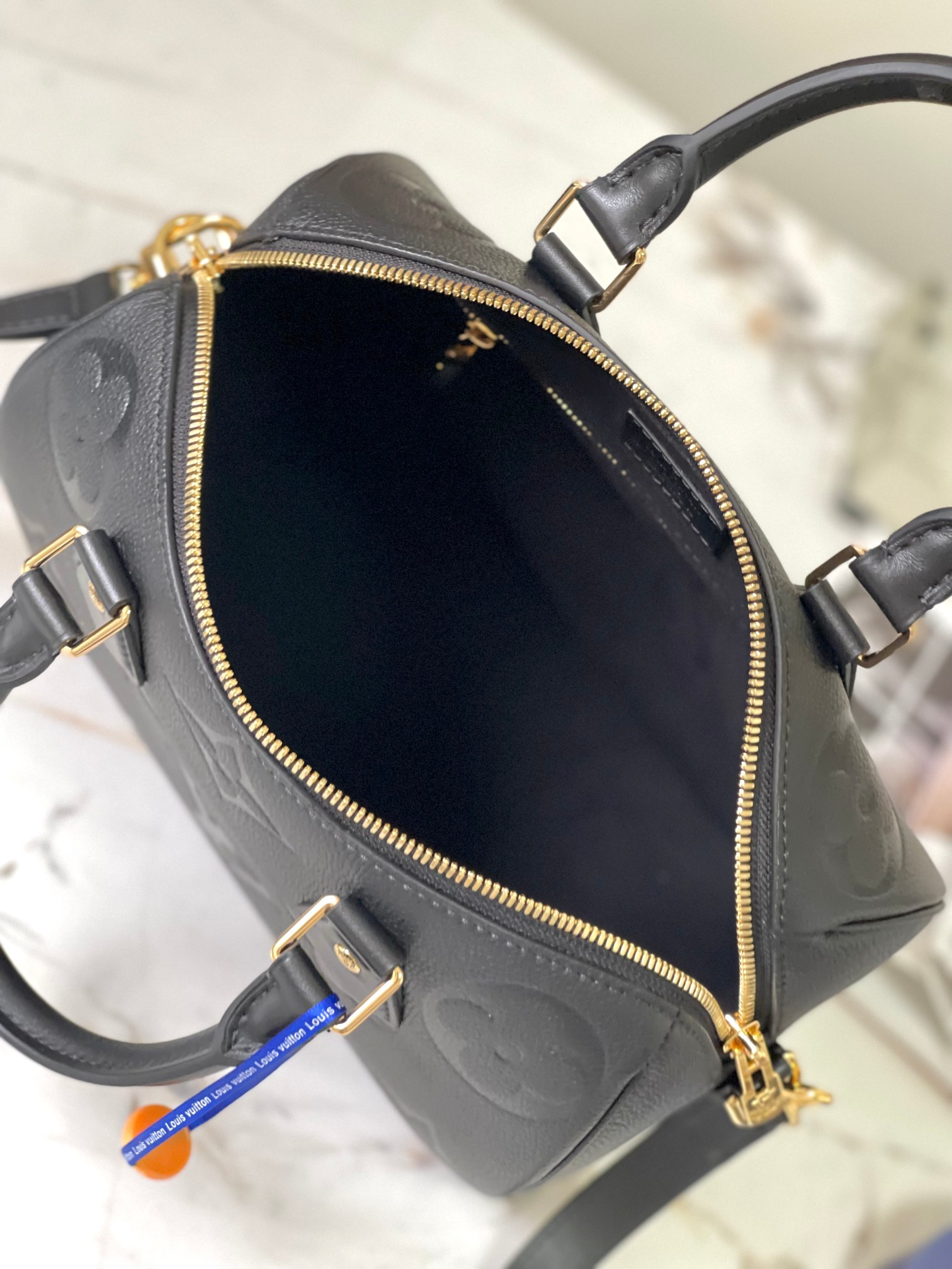 Louis Vuitton Speedy Bandoulière 25 Bag