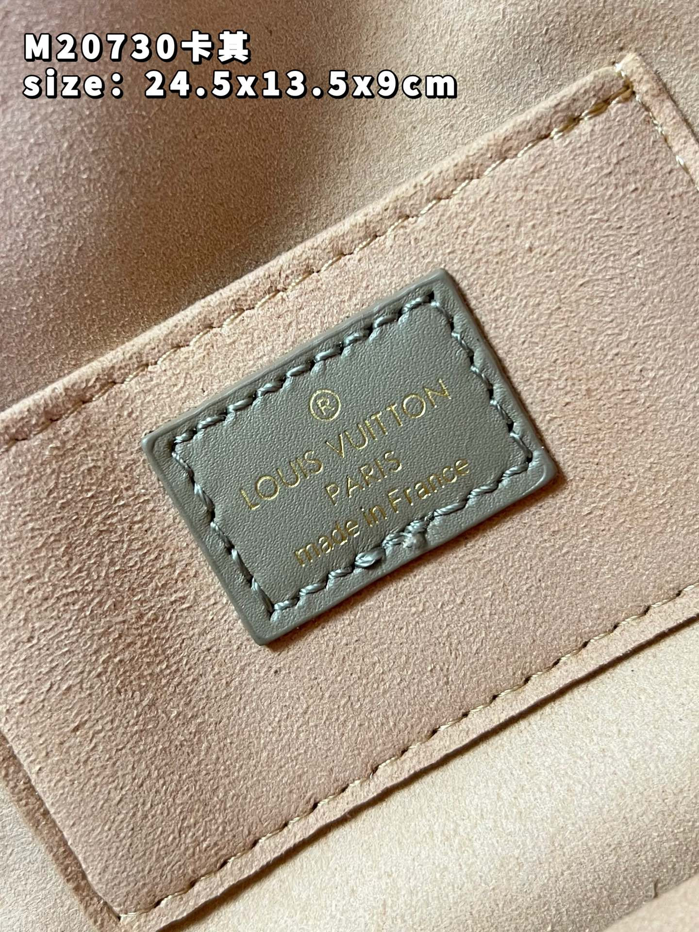 Louis Vuitton Dauphine Bag